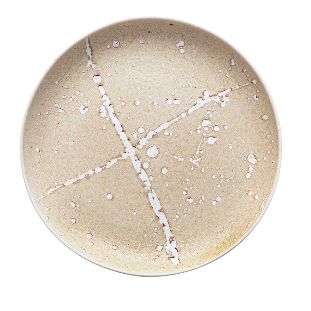 PIATTO PIANO CM.30,5 SAGE